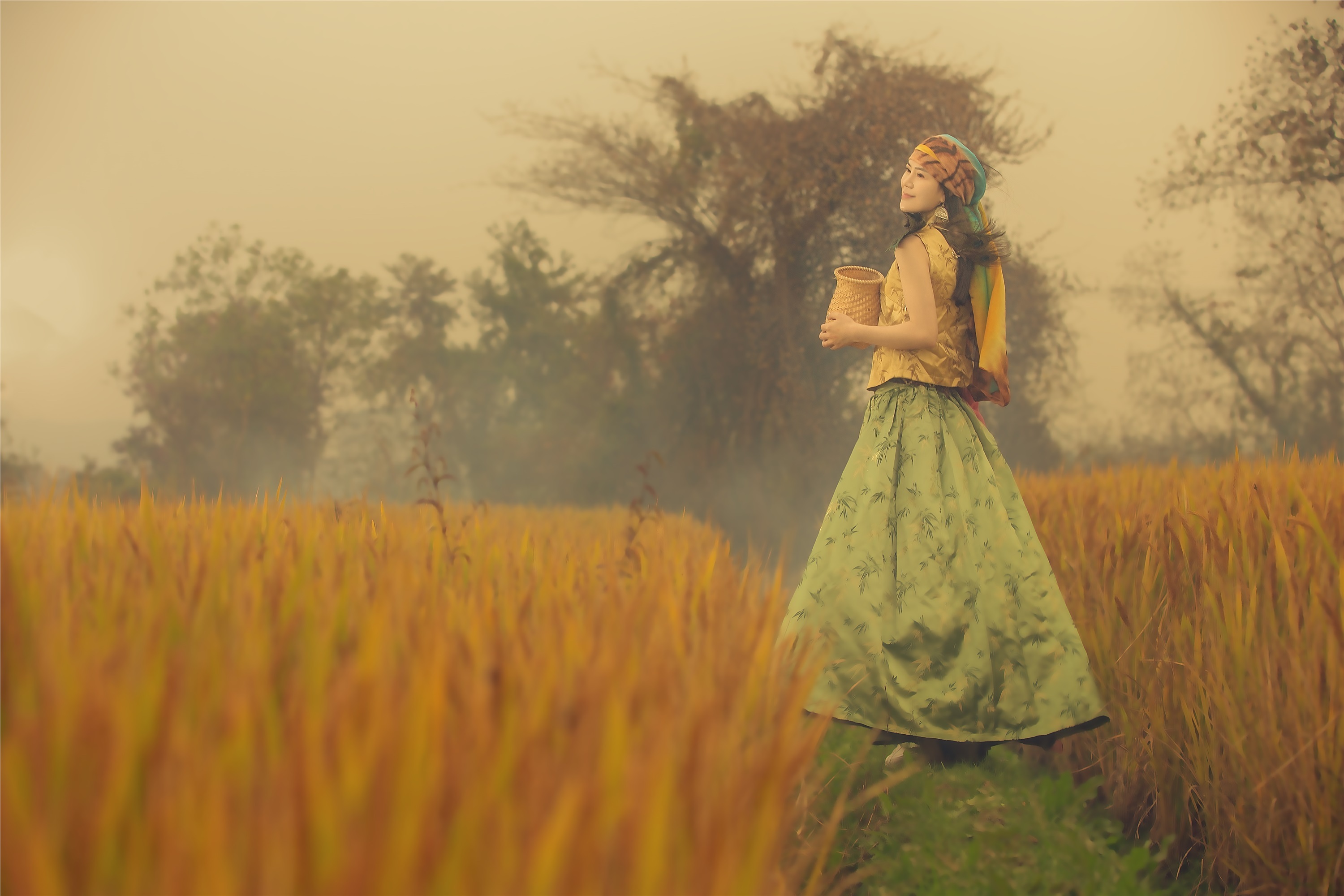 YITUYU艺图语 2021.07.02 稻花香 颗颗树